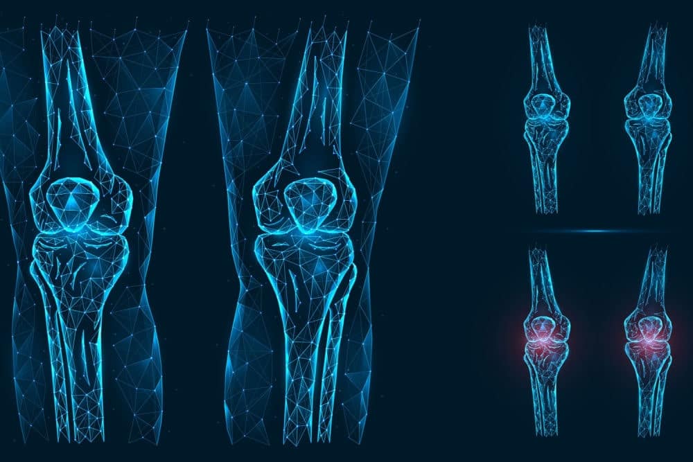 Knee anatomy skeletal drawing