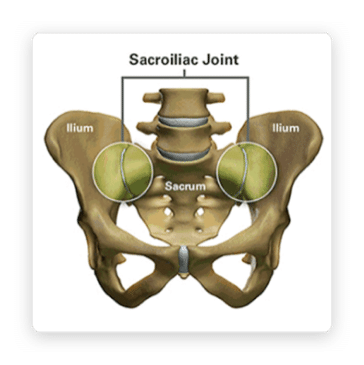 si-joint-anatomy