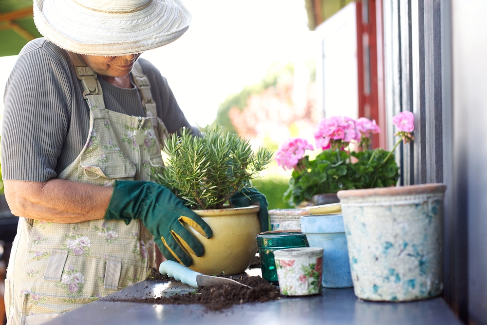 Gardener